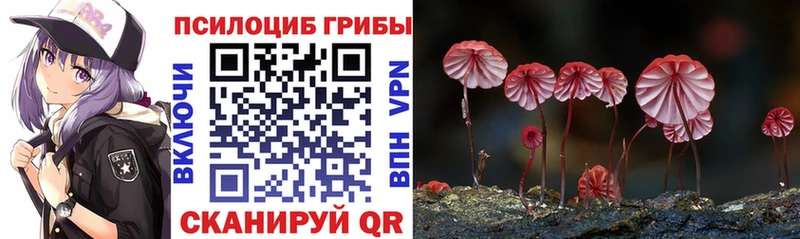 Псилоцибиновые грибы прущие грибы  Купить закладки  Алзамай 